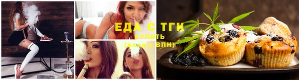 прущие грибы Заводоуковск