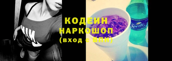 прущие грибы Заводоуковск