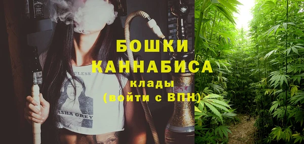 гидропоника Ельня