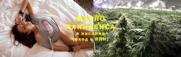 прущие грибы Заводоуковск