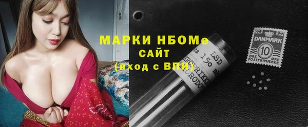 прущие грибы Заводоуковск