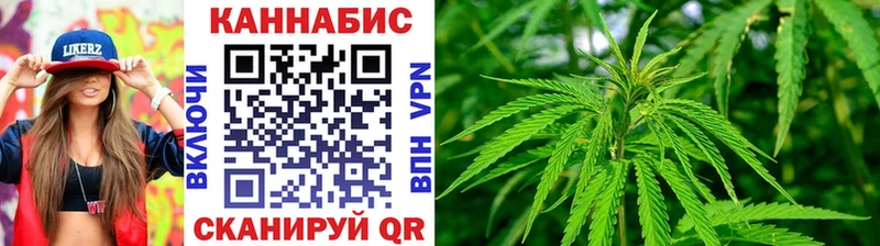 Каннабис план  Домодедово 